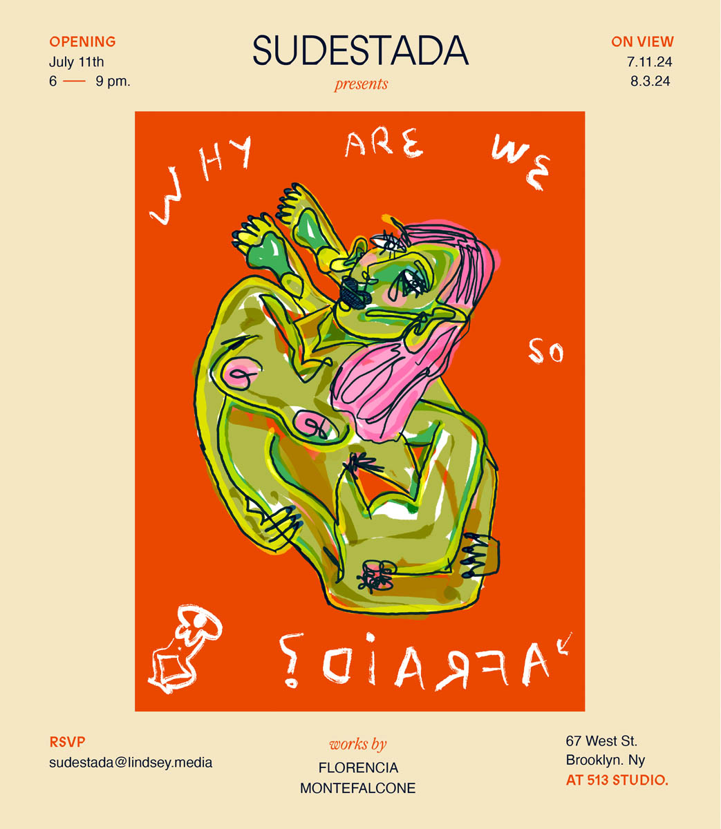 Why Are We So Afraid?, SUDESTADA, Brooklyn, 2024 — documentation 1